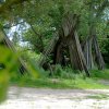 Tour 6: Naturpark Usedom